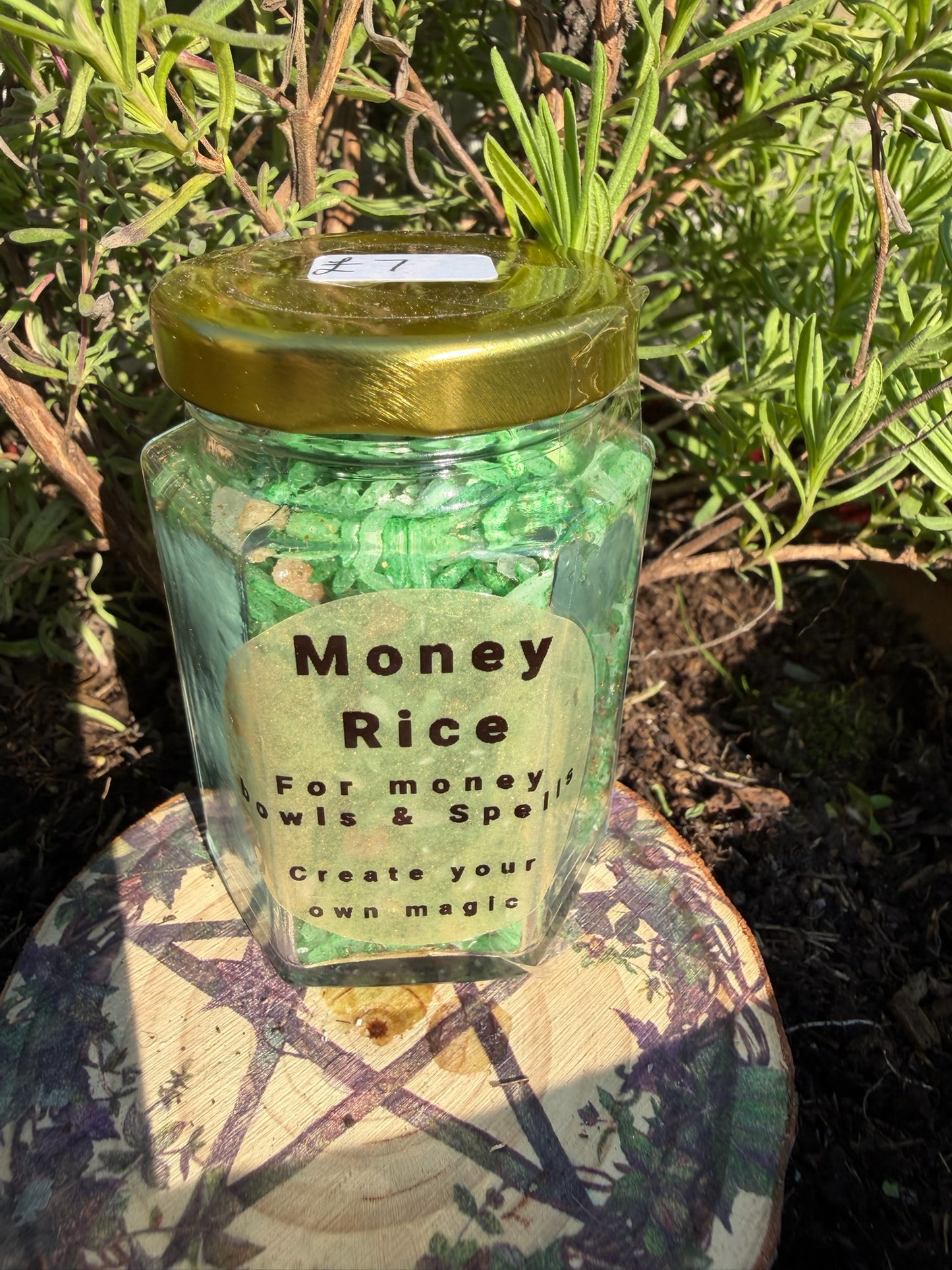 Money Rice | Success Abundance Wealth Growth Prosperity