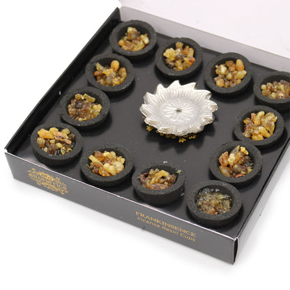 Box of 12 Resin Cups - Myrrh